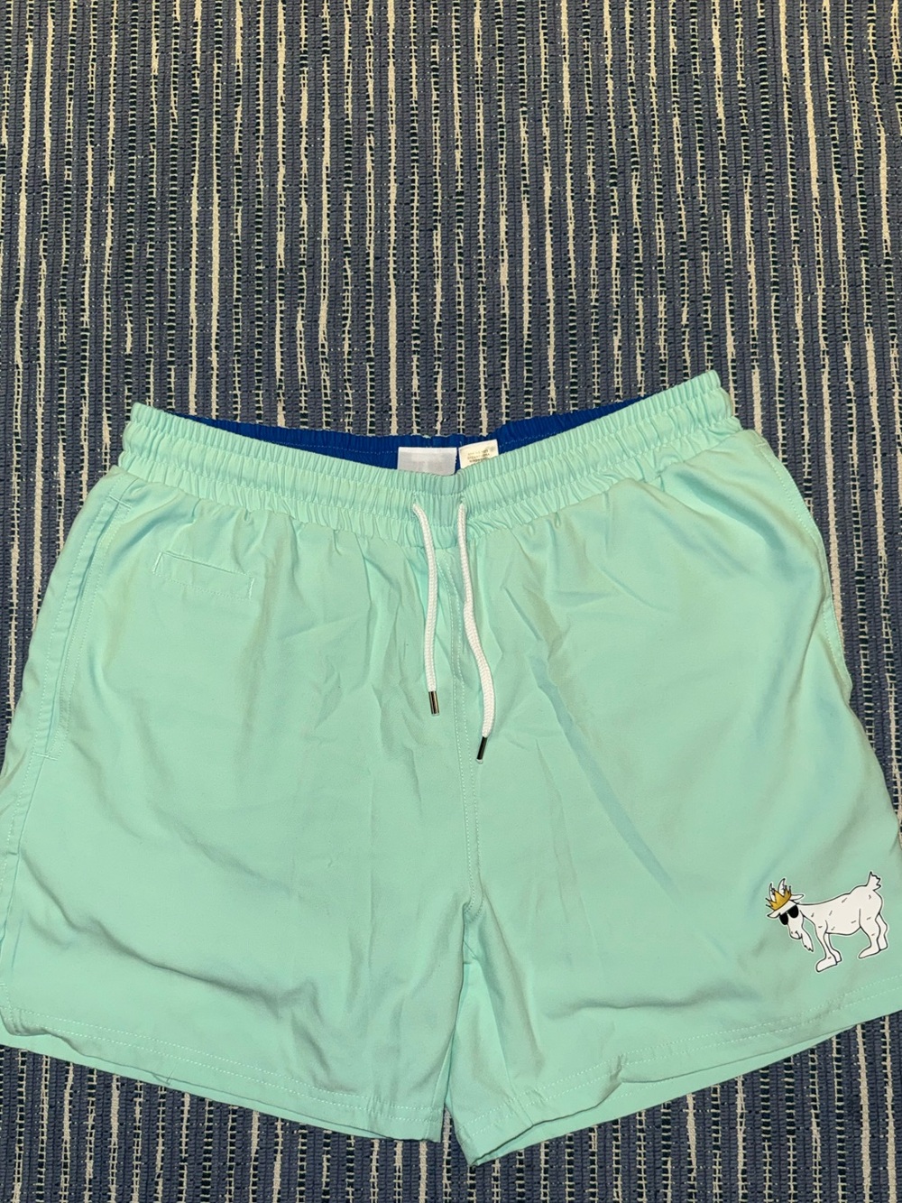 Men's Mint Swim Trunks with Drawstring and lining